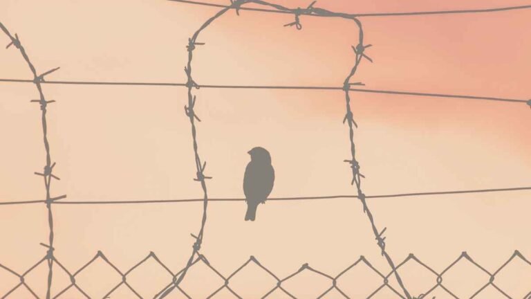 Narrative Structure in Toni Morrison’s Beloved